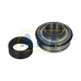 Подшипниковый узел GR205-16 Frimet