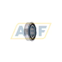 Подшипник шариковый радиальный однорядный WX10 ADR