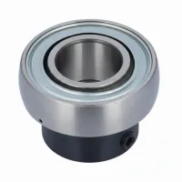 Подшипниковый узел GRAE20NPPB Neutral