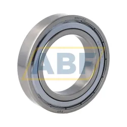 Шариковый подшипник S6011ZZ FSY