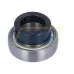 Подшипниковый узел RALE20NPPB Neutral