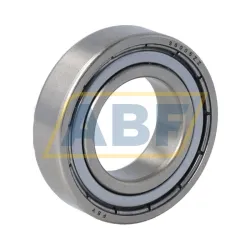 Шариковый подшипник S6005ZZ FSY