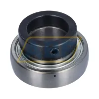Подшипниковый узел GRAE40NPPB Neutral