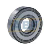 Suffix >V is an internal coding from Schaeffler 6305-C-2Z-L100-C3>V FAG