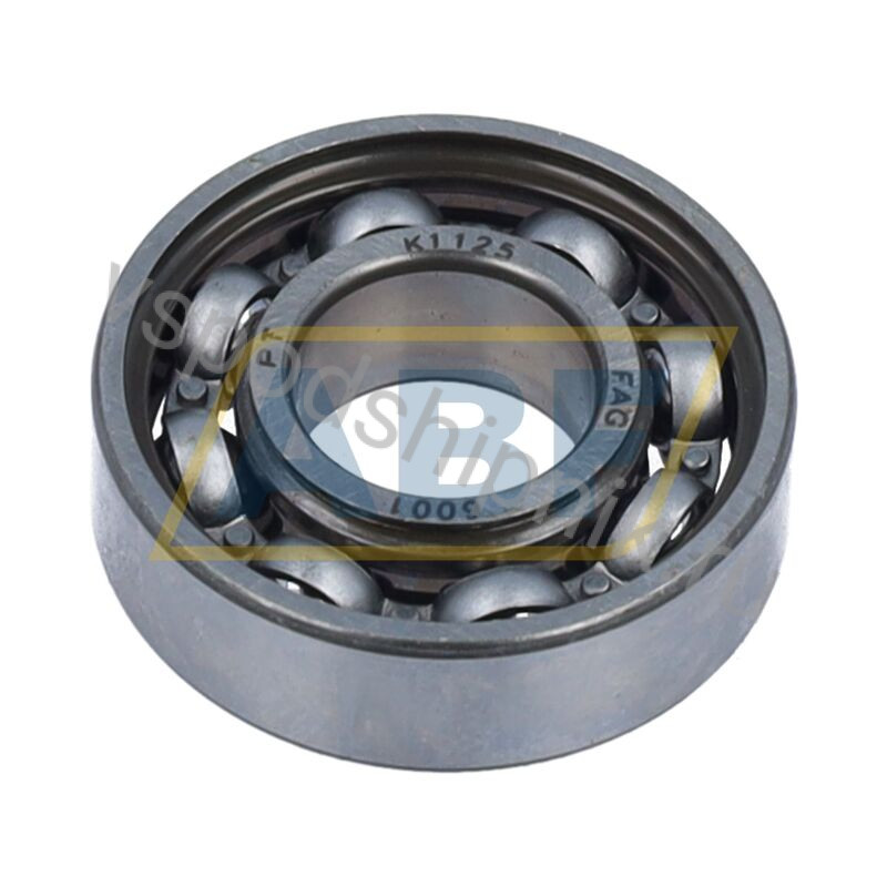 Open 12x28x8mm 6001 FAG 360