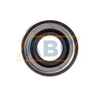 Подшипниковый узел 203NPPB INA