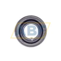 Втулка GSH20-2RSR-B INA