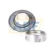 Подшипниковый узел GRAE25-XL-NPP-B-FA125.5 INA