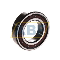 Подшипник шариковый радиальный однорядный 6006TB.P63 FAG