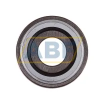 Подшипниковый узел AY15NPPB INA