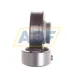 Подшипниковый узел RAE17-NPP-FA106 INA