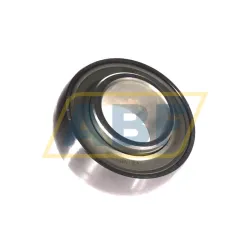 Подшипниковый узел RAE30-NPP-B-L285/70-OSE INA