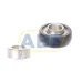 Подшипниковый узел RABRB20/52-FA106 INA