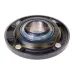 Шариковый подшипник GYE55-KRR-B INA