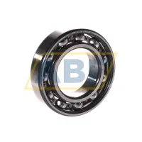 Suffix >V is an internal coding from Schaeffler 6006-C>V FAG