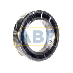 Подшипник шариковый радиально-упорный однорядный HCS7010-C-T-P4S-UL-L207T FAG