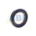 Подшипниковый узел RAE15NPPB INA