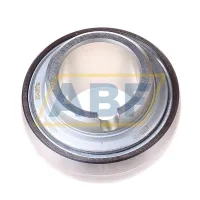 Шариковый подшипник GLE30-KRR-B INA