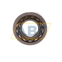 Подшипник E19 SKF