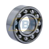 Самоустанавливающийся шариковый подшипник двухрядный 2205ETN9 SKF