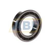 Подшипник шариковый радиальный однорядный 6009T CG12 P4 RHP