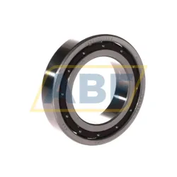 Подшипник шариковый радиальный однорядный 6009T CG12 P4 RHP