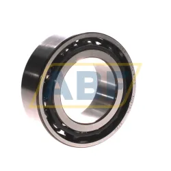 Подшипник радиально-упорный шариковый 7210BE-2RZP SKF