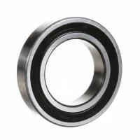 Подшипник шариковый радиальный однорядный 6009-2RS1/P62 SKF
