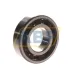 Подшипник шариковый радиальный однорядный 6206TN9/C3VQ488 SKF