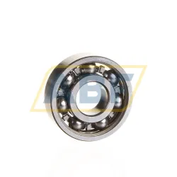 Подшипник шариковый радиальный однорядный 6000/C2 SKF