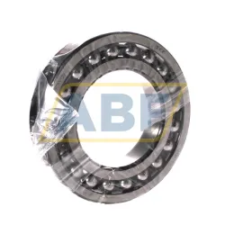 Самоустанавливающийся шариковый подшипник двухрядный 1219K/C3 SKF