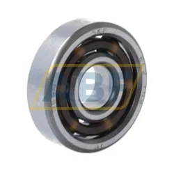 Миниатюрный шариковый подшипник EE2TN9 SKF