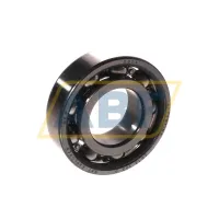 Open 20x42x12mm 6004 SKF