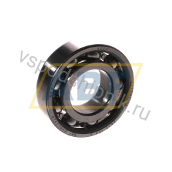 Open 20x42x12mm 6004 SKF