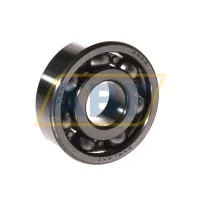 Подшипник шариковый радиальный однорядный 6303N SKF