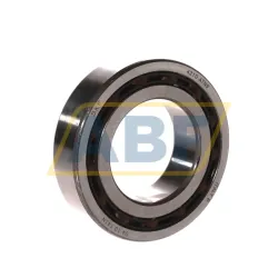 Подшипник шариковый радиальный двухрядный 4210ATN9 SKF