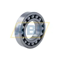 Самоустанавливающийся шариковый подшипник двухрядный 1209/C3 SKF