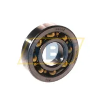 Подшипник шариковый радиальный однорядный 98202 SKF