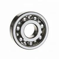 Подшипник шариковый радиальный однорядный 6303N Steyr