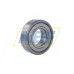 Подшипник шариковый радиальный однорядный 6205.ZZC3 SNR