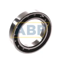 Подшипник шариковый радиальный однорядный 61803G15 SNR
