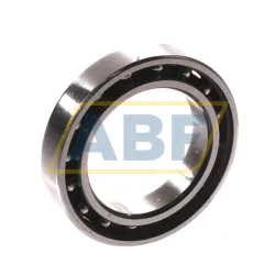 Подшипник шариковый радиальный однорядный 61803G15 SNR