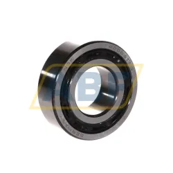 Подшипник шариковый радиальный двухрядный 4206B TNG NSK