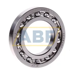 Подшипник шариковый радиальный однорядный 16007 SLF Fraureuth