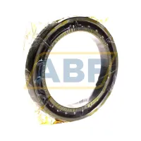 Подшипник шариковый радиально-упорный однорядный B71924-C-T-P4S-UL SLF Fraureuth