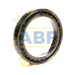 Подшипник шариковый радиально-упорный однорядный B71924-C-T-P4S-UL SLF Fraureuth