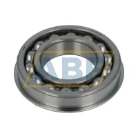 Подшипник шариковый радиальный однорядный BL209NR NSK