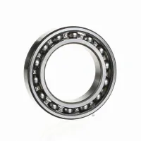 Подшипник шариковый радиальный однорядный 6010 Spicer