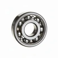 Подшипник шариковый радиальный однорядный 6302 FBC