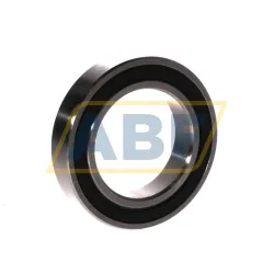 Шариковый подшипник SS6010-2RS Neutral